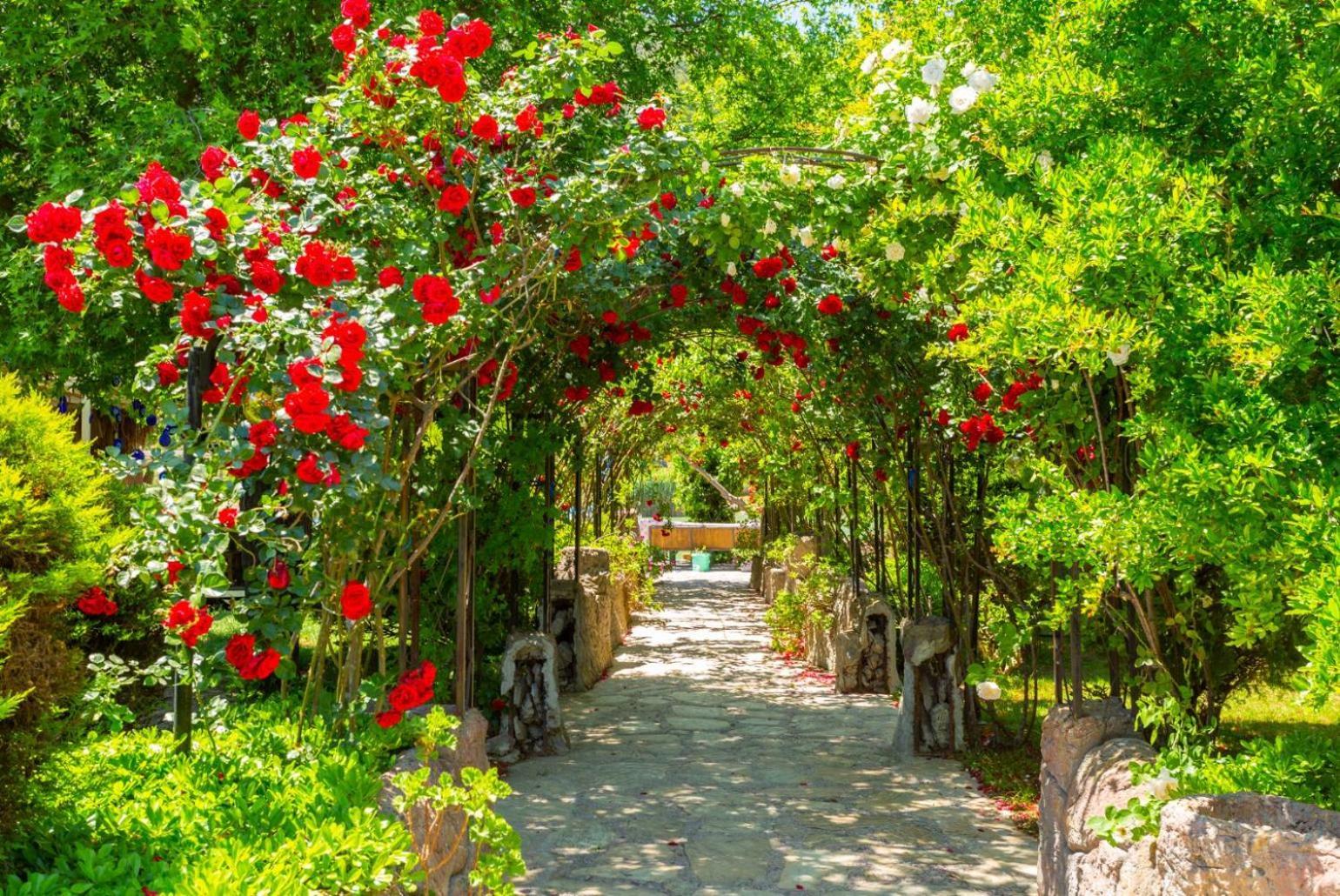 Villa Elmas Paradise Dalyan Eksteriør billede